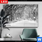 Wechselmotiv Dia Wintermorgen Im Central Park Querformat Produktvorschau mit dem Bild Wintermorgen im Central Park im Format Querformat.