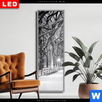 Wechselmotiv Dia Wintermorgen Im Central Park Schmal Produktvorschau mit dem Bild Wintermorgen im Central Park im Format Schmal.