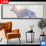 Wechselmotiv Dia Wolf Wald No 1 Panorama Produktvorschau mit dem Bild Wolf & Wald No.1 im Format Panorama.