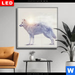 Wechselmotiv Dia Wolf Wald No 1 Quadrat Produktvorschau mit dem Bild Wolf & Wald No.1 im Format Quadrat.
