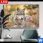 Wechselmotiv Dia Wolfsblick Im Fruehling Querformat Produktvorschau mit dem Bild Wolfsblick im Frühling im Format Querformat.