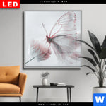 Wechselmotiv Dia Zarter Schmetterling Quadrat Produktvorschau mit dem Bild Zarter Schmetterling im Format Quadrat.