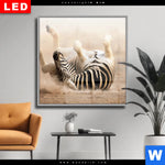 Wechselmotiv Dia Zebra Staub Quadrat Produktvorschau mit dem Bild Zebra & Staub im Format Quadrat.