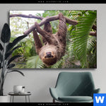 Wechselmotiv Faultier Streckt Zunge Raus Querformat Produktvorschau mit dem Bild Faultier streckt Zunge raus im Format Querformat.