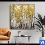 Wechselmotiv Gelber Birkenwald Quadrat Produktvorschau mit dem Bild Gelber Birkenwald im Format Quadrat.