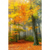 Wechselmotiv Herbstfarben Im Nebligen Wald Hochformat Motivvorschau