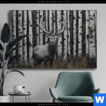 Wechselmotiv Hirschportraet Vor Birken Querformat Produktvorschau mit dem Bild Hirschporträt vor Birken im Format Querformat.