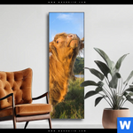 Wechselmotiv Hochland Bulle Schmal Produktvorschau mit dem Bild Hochland-Bulle im Format Schmal.