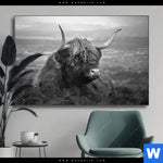 Wechselmotiv Hochland Rind Schwarz Weiss No 2 Querformat Produktvorschau mit dem Bild Hochland-Rind Schwarz-Weiß No. 2 im Format Querformat.