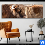 Wechselmotiv Hochlandrind Auf Weide Panorama Produktvorschau mit dem Bild Hochlandrind auf Weide im Format Panorama.