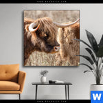 Wechselmotiv Hochlandrind Auf Weide Quadrat Produktvorschau mit dem Bild Hochlandrind auf Weide im Format Quadrat.