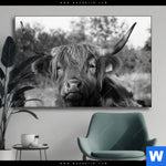 Wechselmotiv Hochlandrind No 2 Querformat Produktvorschau mit dem Bild Hochlandrind No.2 im Format Querformat.