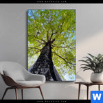 Wechselmotiv Hoher Baum Hochformat Produktvorschau mit dem Bild Hoher Baum im Format Hochformat.
