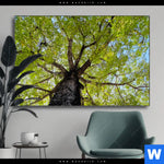 Wechselmotiv Hoher Baum Querformat Produktvorschau mit dem Bild Hoher Baum im Format Querformat.