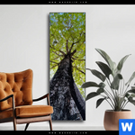 Wechselmotiv Hoher Baum Schmal Produktvorschau mit dem Bild Hoher Baum im Format Schmal.