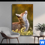 Wechselmotiv Junger Fuchs Hochformat Produktvorschau mit dem Bild Junger Fuchs im Format Hochformat.