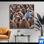 Wechselmotiv Koenigspinguine Quadrat Produktvorschau mit dem Bild Königspinguine im Format Quadrat.