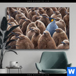 Wechselmotiv Koenigspinguine Querformat Produktvorschau mit dem Bild Königspinguine im Format Querformat.