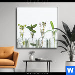 Wechselmotiv Kraeuter In Flaschen Quadrat Produktvorschau mit dem Bild Kräuter in Flaschen im Format Quadrat.