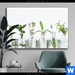 Wechselmotiv Kraeuter In Flaschen Querformat Produktvorschau mit dem Bild Kräuter in Flaschen im Format Querformat.