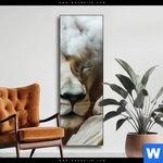 Wechselmotiv Loewe Sanft Umhuellt Schmal Produktvorschau mit dem Bild Löwe sanft umhüllt im Format Schmal.