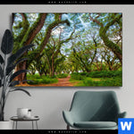 Wechselmotiv Mystischer Wald Querformat Produktvorschau mit dem Bild Mystischer Wald im Format Querformat.