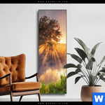 Wechselmotiv Nebel Am Fluss Schmal Produktvorschau mit dem Bild Nebel am Fluss im Format Schmal.