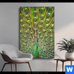 Wechselmotiv Pfauenschwanz Hochformat Produktvorschau mit dem Bild Pfauenschwanz im Format Hochformat.