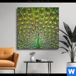 Wechselmotiv Pfauenschwanz Quadrat Produktvorschau mit dem Bild Pfauenschwanz im Format Quadrat.