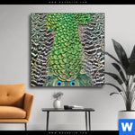 Wechselmotiv Pfaufedern Quadrat Produktvorschau mit dem Bild Pfaufedern im Format Quadrat.