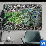 Wechselmotiv Pfaufedern Querformat Produktvorschau mit dem Bild Pfaufedern im Format Querformat.