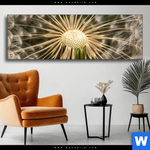 Wechselmotiv Pusteblume No 11 Panorama Produktvorschau mit dem Bild Pusteblume No. 11 im Format Panorama.