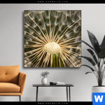 Wechselmotiv Pusteblume No 11 Quadrat Produktvorschau mit dem Bild Pusteblume No. 11 im Format Quadrat.