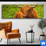 Wechselmotiv Rind In Den Schottischen Highlands Panorama Produktvorschau mit dem Bild Rind in den schottischen Highlands im Format Panorama.