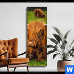 Wechselmotiv Rind In Den Schottischen Highlands Schmal Produktvorschau mit dem Bild Rind in den schottischen Highlands im Format Schmal.