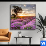 Wechselmotiv Sonnenaufgang Im Lavendelfeld Quadrat Produktvorschau mit dem Bild Sonnenaufgang im Lavendelfeld im Format Quadrat.
