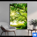 Wechselmotiv Sonnendurchfluteter Baum Hochformat Produktvorschau mit dem Bild Sonnendurchfluteter Baum im Format Hochformat.