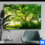 Wechselmotiv Sonnendurchfluteter Baum Querformat Produktvorschau mit dem Bild Sonnendurchfluteter Baum im Format Querformat.