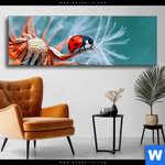 Wechselmotiv Sonnenkaefer Auf Pusteblume Panorama Produktvorschau mit dem Bild Sonnenkäfer auf Pusteblume im Format Panorama.