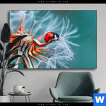 Wechselmotiv Sonnenkaefer Auf Pusteblume Querformat Produktvorschau mit dem Bild Sonnenkäfer auf Pusteblume im Format Querformat.