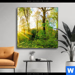 Wechselmotiv Sonnenlicht Im Wald Quadrat Produktvorschau mit dem Bild Sonnenlicht im Wald im Format Quadrat.