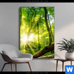 Wechselmotiv Sonnenstrahlen Im Dichten Wald Hochformat Produktvorschau mit dem Bild Sonnenstrahlen im dichten Wald im Format Hochformat.