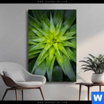 Wechselmotiv Spitze Agavenblaetter Hochformat Produktvorschau mit dem Bild Spitze Agavenblätter im Format Hochformat.