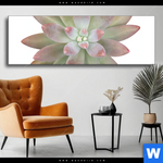 Wechselmotiv Sukkulente No 1 Panorama Produktvorschau mit dem Bild Sukkulente No.1 im Format Panorama.