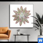 Wechselmotiv Sukkulente No 1 Quadrat Produktvorschau mit dem Bild Sukkulente No.1 im Format Quadrat.