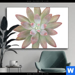 Wechselmotiv Sukkulente No 1 Querformat Produktvorschau mit dem Bild Sukkulente No.1 im Format Querformat.