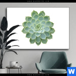 Wechselmotiv Sukkulente No 2 Querformat Produktvorschau mit dem Bild Sukkulente No.2 im Format Querformat.