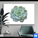 Wechselmotiv Sukkulente No 3 Querformat Produktvorschau mit dem Bild Sukkulente No.3 im Format Querformat.