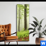 Wechselmotiv Unberuehrte Natur Der Wald Schmal Produktvorschau mit dem Bild Unberührte Natur - Der Wald im Format Schmal.