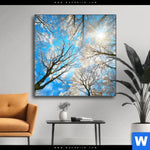Wechselmotiv Wald Im Winter Quadrat Produktvorschau mit dem Bild Wald im Winter im Format Quadrat.